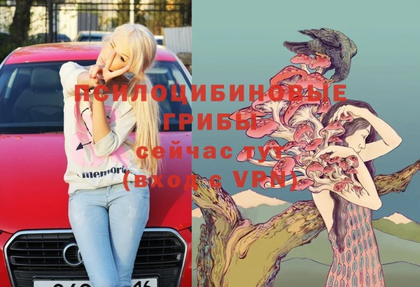ECSTASY Абинск