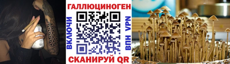 Псилоцибиновые грибы GOLDEN TEACHER купить наркотики сайты Ивантеевка