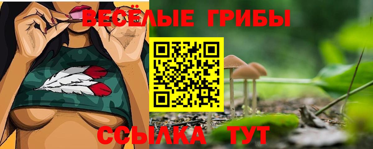 Ивантеевка  Галлюциногенные грибы Cubensis  Вход с VPN 