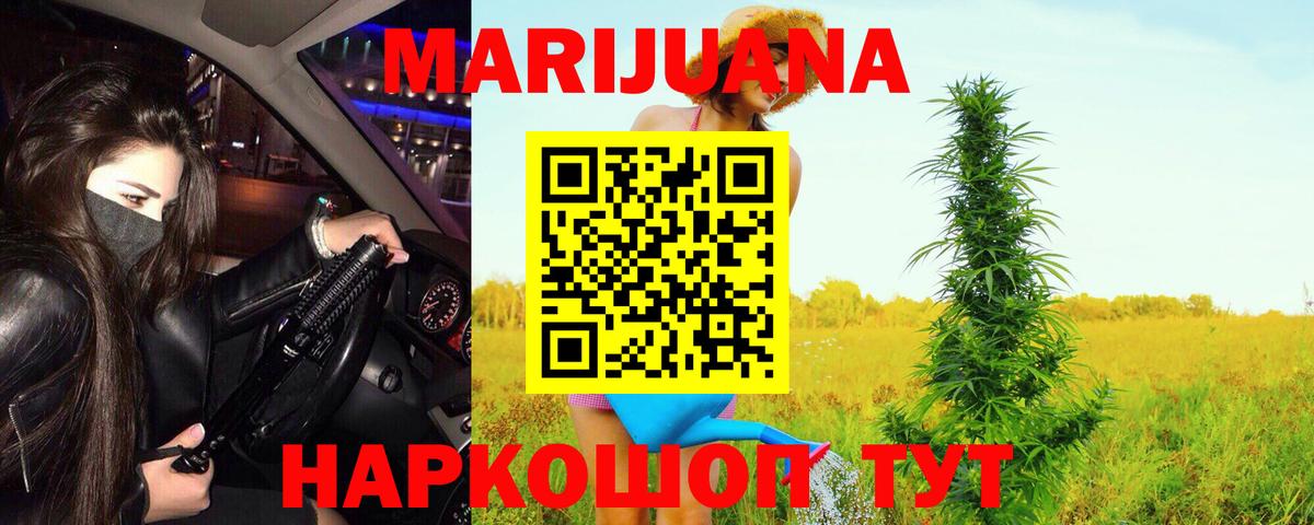 Бошки Шишки планчик Ивантеевка